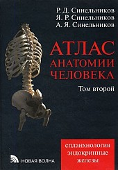 Атлас анатомии человека в 3-х томах. Том 2. Спланхнология. Эндокринные железы. Кардиоангиология. Лимфоидная система. 8-е издание