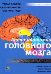 Атлас анатомии головного мозга. Наглядное руководство 