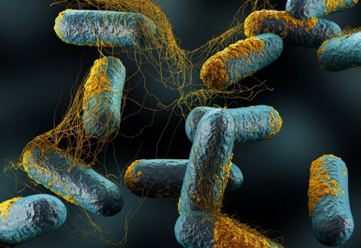 Препарат от смертельно опасной бактерии изобрели ученые