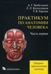 Практикум по анатомии человека в 4-х ч. ч 1