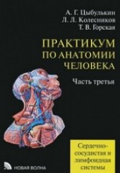 Практикум по анатомии человека в 4-х ч. ч 3