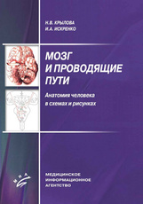 Мозг и проводящие пути. Анатомия человека в схемах и рисунках