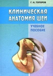 Клиническая анатомия шеи 