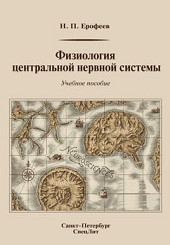 Физиология центральной нервной системы. Учебное пособие