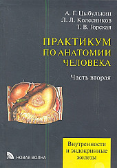 Практикум по анатомии человека в 4-х ч. ч 2