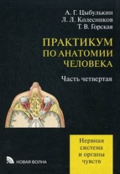 Практикум по анатомии человека в 4-х ч. ч 4