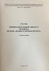 Пищеварительный аппарат человека. Печень. Поджелудочная железа.