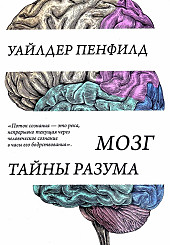 Мозг. Тайны разума