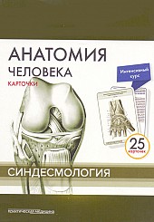 Анатомия человека. Карточки (25 шт). Синдесмология. Русские и латинские названия анатомических структур