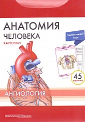 Анатомия человека. Карточки (45 шт). Ангиология. Русские и латинские названия анатомических структур