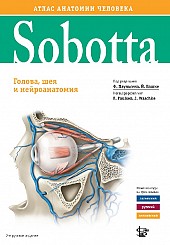 Sobotta. Атлас анатомии человека т. 3, 2 издание