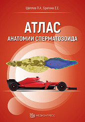 Атлас анатомии сперматозоида