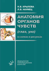 Анатомия органов чувств (глаз, ухо) в схемах и рисунках
