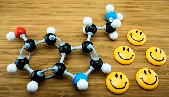 Какие гормоны отвечают за счастье и как повысить их уровень в организме