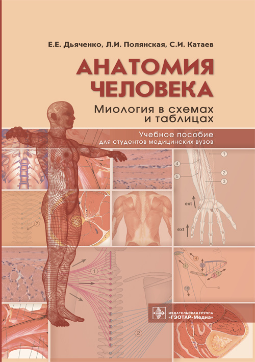 Анатомия человека: миология в схемах и таблицах