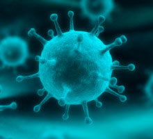 Обманный манёвр: как вирусам удаётся перехитрить иммунитет